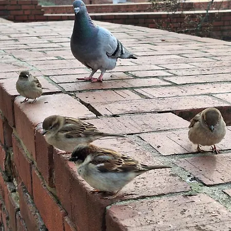 Elegant 3 At The Old Town - 70m2 - Up To 6 Sleeps Varsovia